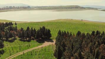 luftaufnahme über junge baumplantage mit see- und stadtpanorama im hintergrund.nachhaltigkeit und baumpflanzung in großstädten video