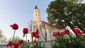 statische zeitrafferansicht st. peter-und-paul-kathedrale in der stadt siauliai. Katholische Kirchen in Litauen. video
