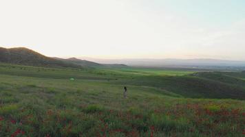 Vue de suivi aérien youn caucasian woman walk in green spring field avec tente et fond de coucher de soleil.vacances de camping à la campagne video