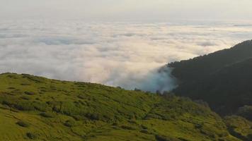 Aerial fly over green field with dramatic cloudscape above green forest. Background headline footage concept video