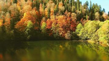 Steigendes Luftbild Bateti-See-Panorama mit farbenfrohem Herbstwaldpanorama und Reflexionen von Herbstbäumen. berühmtes herbstreiseziel in georgia