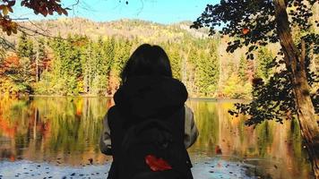 Close up cinematic back view caucasian woman hiker standing by lake taking photo of scenic autumn nature outdoors in sunny day outdoors . Leaves falling in slow motion in forest