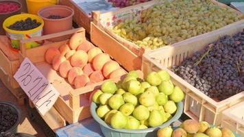 visão panorâmica de frutas frescas em exposição ao ar livre no mercado local armênio video