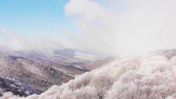 filmische Luftfliege über die malerische Winterwaldlandschaft und den Hintergrund der Kaukasusberge video