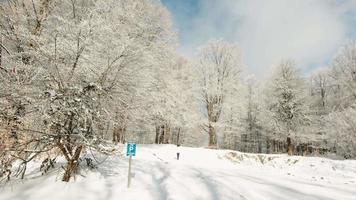 Winter snowy landscape panorama with female person walking to forest. Tranquility and leisure on holidays.