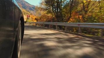Driving car front wheel POV point of view, close-up wheel spinning on countryside in empty asphalt road in autumn forest in sunny day outdoors video