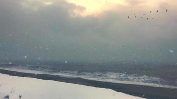 vue statique d'une forte tempête de neige sur une plage avec une mer agitée et des oiseaux volants en arrière-plan video