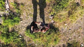 Luftaufnahme eines jungen kaukasischen Paares, das sich berührt, umgeben von grüner Natur
