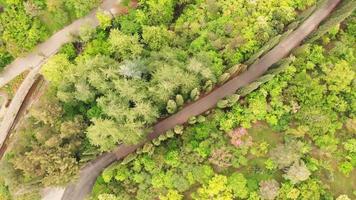 Aufsteigende Luftaufnahme des leeren botanischen Gartens mit verschiedenen Bäumen und Wegen. nationaler botanischer garten von tiflis