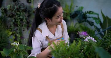 portret van een gelukkige jonge aziatische vrouwelijke tuinman die een spuitfles water geeft op verlofplanten en 's ochtends naar de camera in de tuin kijkt. huis groen, hobby en lifestyle concept. video