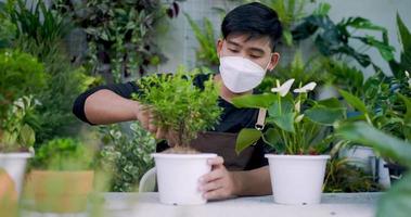 Portrait of a young asian male gardener planting a tree in the pot. Man in face mask holding spoon. Male planting a decorative plant in the house. Small tree into the new pot. Home greenery concept. video