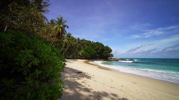 Blue ocean sand beach and water surface texture. Foamy waves with sky and clouds. Beautiful tropical beach. Amazing Sandy coastline with white sea waves. Palms turquoise sea background Atlantic ocean. video