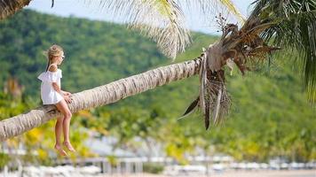 Back view of adorable little girl at tropical beach sitting on palm tree during summer vacation video