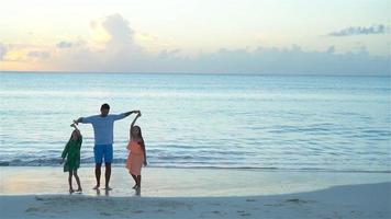 família se divertindo na praia ao pôr do sol. câmera lenta video