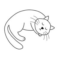 Vector illustration of doodle sleeping cat in cartoon style. Cute animal character for print, design, textile, coloring page.