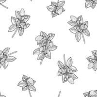 Doodle strawberry seamless pattern on white background. Sketched berries with leaves. Linear black and white wallpaper for fabric, cloth design, covers, wrapping paper and scrapbooking. vector