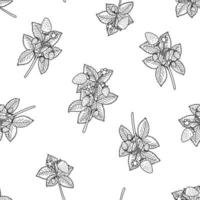 Doodle strawberry seamless pattern on white background. Sketched berries with leaves. Linear black and white wallpaper for fabric, cloth design, covers, wrapping paper and scrapbooking. vector