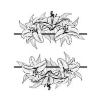 LINE ART LEAF AND FLOWER AESTHETIC FLORAL vector
