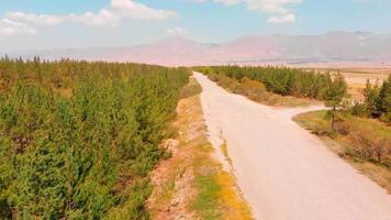 vista aérea ascendente sitio de bosque de pinos con panorama de montañas en armenia video