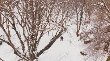 Paar geht im verschneiten Wald spazieren und plaudert zusammen. beziehungs- und zusammengehörigkeitskonzept kopieren paste hintergrund video
