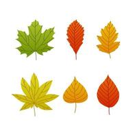 conjunto de hojas de otoño de diferentes árboles. conjunto de vectores aislado sobre fondo blanco