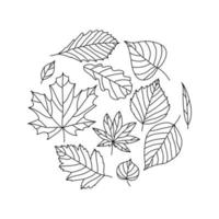 Linear set of drawn autumn leaves, black color, hand drawn, vector illustration isolated on white background