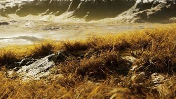 campos de grama seca e montanhas no nepal video
