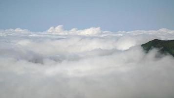 8k mar de nuvens paisagem do cume da montanha acima da nuvem video
