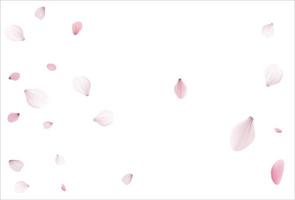 Sakura background, cherry vector background