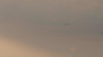 avión en el cielo del atardecer video