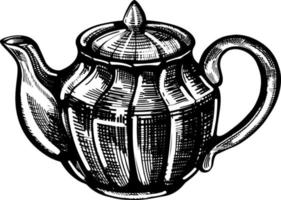 Ceramic kettle. Teapot sketch vector