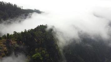Aerial drone view flying over a forest with clouds. Filming the deep forest from above with passing clouds. Cinematic shot. Above the clouds. Relaxing and pensive feeling. Travel the world. video
