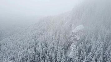 Luftdrohnenansicht der wunderschönen Winterlandschaft in den Bergen mit schneebedeckten Kiefern. dunkler Himmel und fallender Schnee. filmische Aufnahme. Winterreisen. video