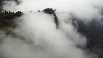 luchtfoto drone-weergave vliegen over een bos met wolken. het diepe bos van bovenaf filmen met passerende wolken. filmische opname. boven de wolken. ontspannend en peinzend gevoel. de wereld rondreizen.