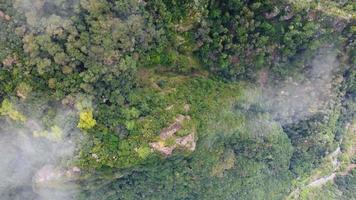 vista aérea de drones volando sobre un bosque con nubes. filmando el bosque profundo desde arriba con nubes que pasan. toma cinematográfica. sobre las nubes. sentimiento relajante y pensativo. viajar el mundo. video