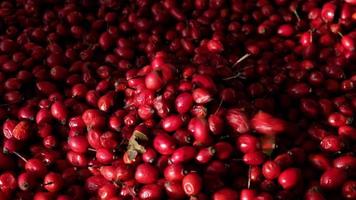 Rose hip or rosehip falling from above on the table. Empty space for copy paste. Backgrounds and textures. Red vibrant colors. Cinematic. Wild fruits and healthy food. video