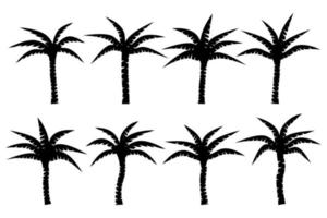 Set and collection of palm tree silhouettes vector