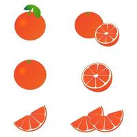 A set of grapefruit icons, food illustration vector