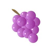 A grape icon, food illustration vector