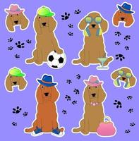 un paquete de pegatinas con perros spaniel, ilustración infantil, eps 10 vector