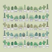 Set of colorful cactus plants. Vector illustration, cartoon. Isolated background. Perfect for patterns.