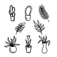 Vector hand drawn flowers in pots set isolated on white background. Decorative doodle flowers elements. Leaves and flowers in line art style for minimalist design. Cactus, tulip, fern, monstera