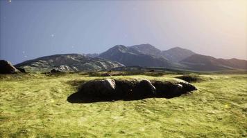 l'été dans les highlands écossais video