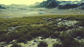 dry grass fields and mountains in Nepal video