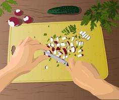 Female hands cut with knife radish, parsley on yellow cutting board. Cooking salad, veggie dishes. View from above. Vector illustration.