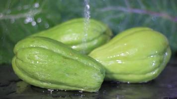 Close-up of water falling on group of chuchu isolated video