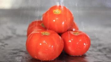 água caindo no bando de tomates isolados video