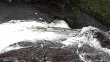 cascada en el bosque salvaje río de corrientes de agua que fluyen en las rocas video