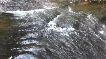 cascata nella foresta selvaggia fiume di correnti d'acqua che scorrono nelle rocce video