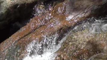 Wasserfall im wilden Waldfluss von Wasserströmungen, die in den Felsen fließen video